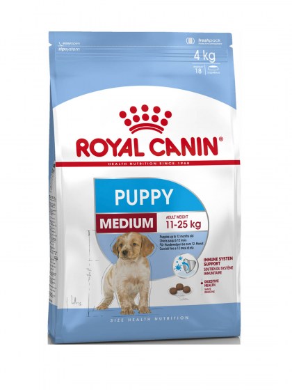 SHN MEDIUM PUPPY_web